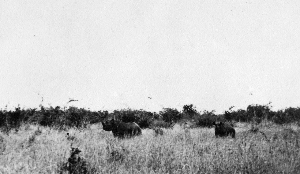 Sanford Africa027.jpg
