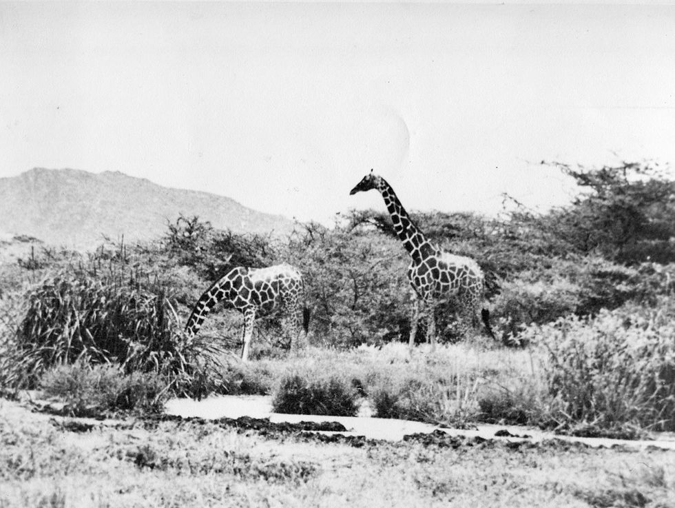 Sanford Africa022.jpg