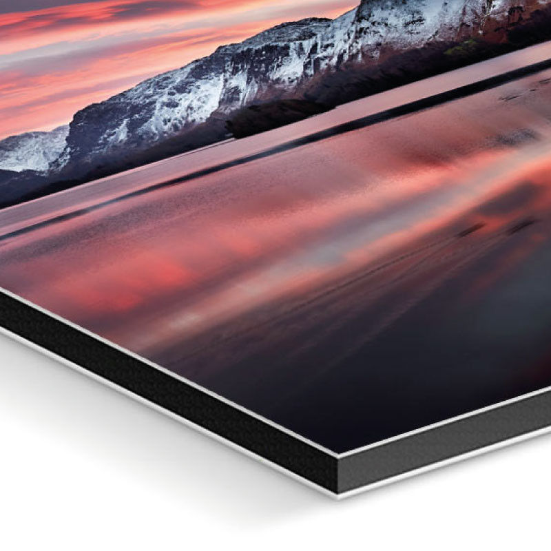 Thumbnail: Guêpier d'Europe II - Dibond