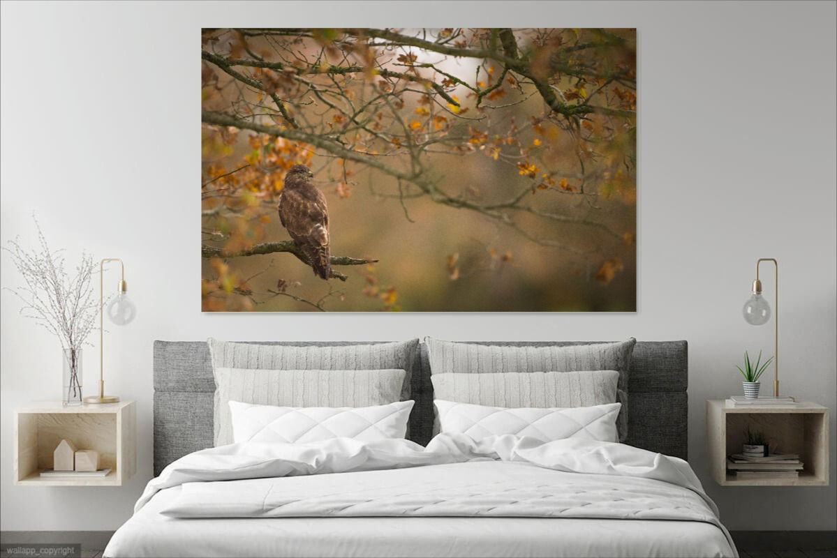 Buse variable - Dibond