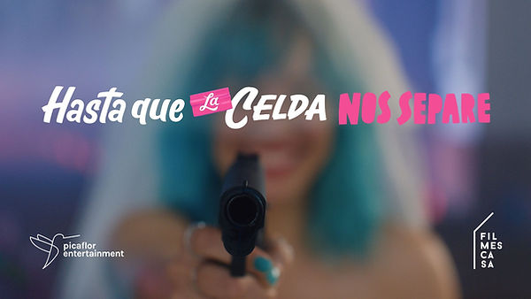 HQLCNS banner.jpg
