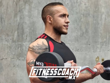 Curl de bíceps con barra Z