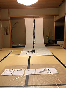 IMG_0981.jpeg