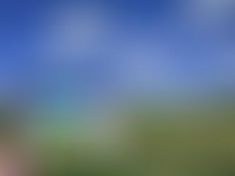 Amazing cycling in North Holland. Myazakiworld