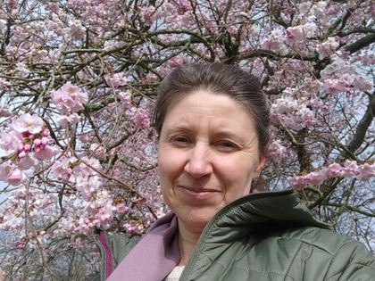 Spring blossom in Holland