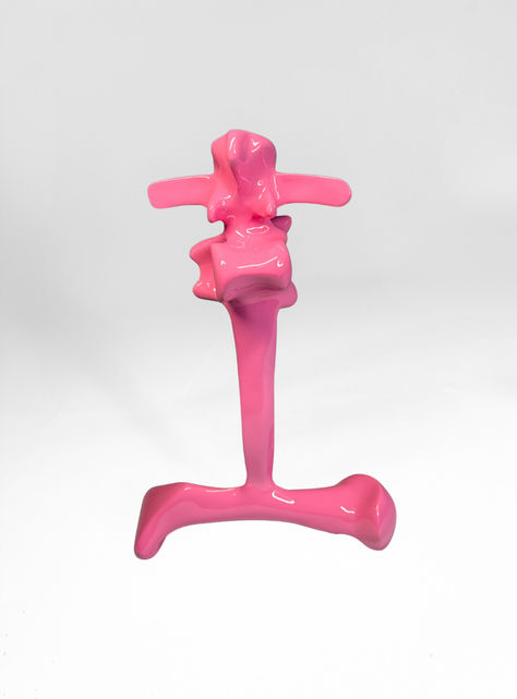 Juniara Albuquerque
Sem título, 2024
Pintura automotiva sobre carcaças de animais.
31 x 39 x 10 cm