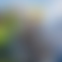 Lavado Profesional de Placas Solares: La Solución que Buscabas