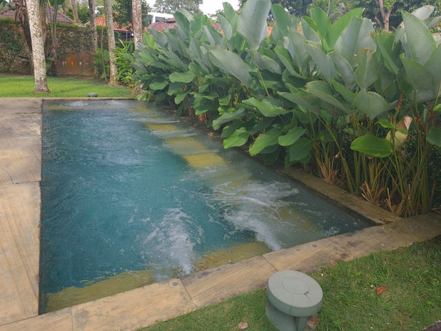 A Luxury Premium Bungalow Property in  Leisure Farm Johor 