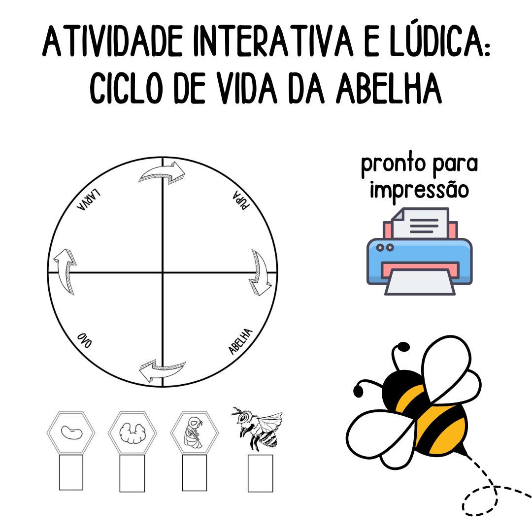 Atividade Interativa: Ciclo de Vida das Abelhas