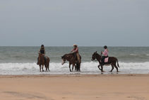 Retour sur le stage ranch horsmanship sur la plage du 12-13 Avril