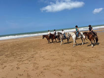 Retour sur le stage ranch horsmanship sur la plage du 8-9 Juin