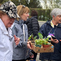 TGHS Plant Sales