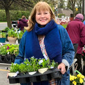 TGHS Plant Sales