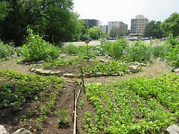 2018 TUC Community Garden