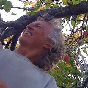 Writer: Surya Chandra Das