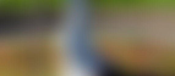 Hold Your Opinions Lightly