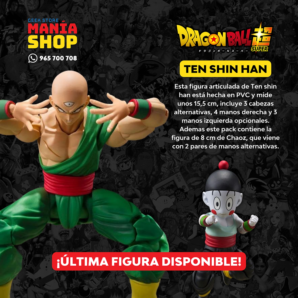 Tenshinhan   & Chaoz SH FlGUARTS