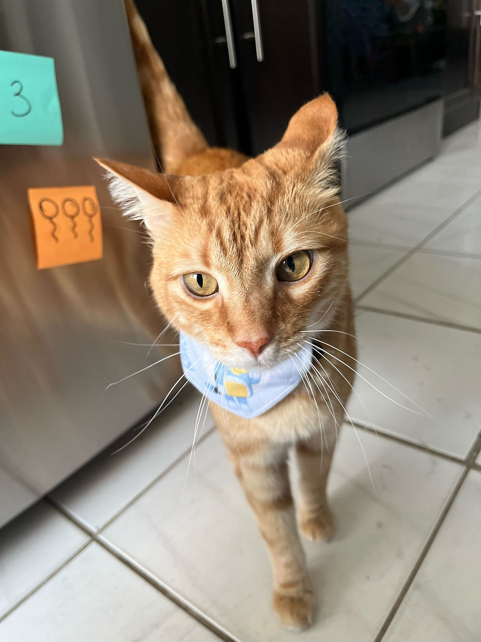 Welcome to my new site! 