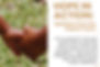 Hope in Action: Updates from the Espere Team