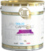 Innova Capitole aqua primaire universel peinture acrylique batiment