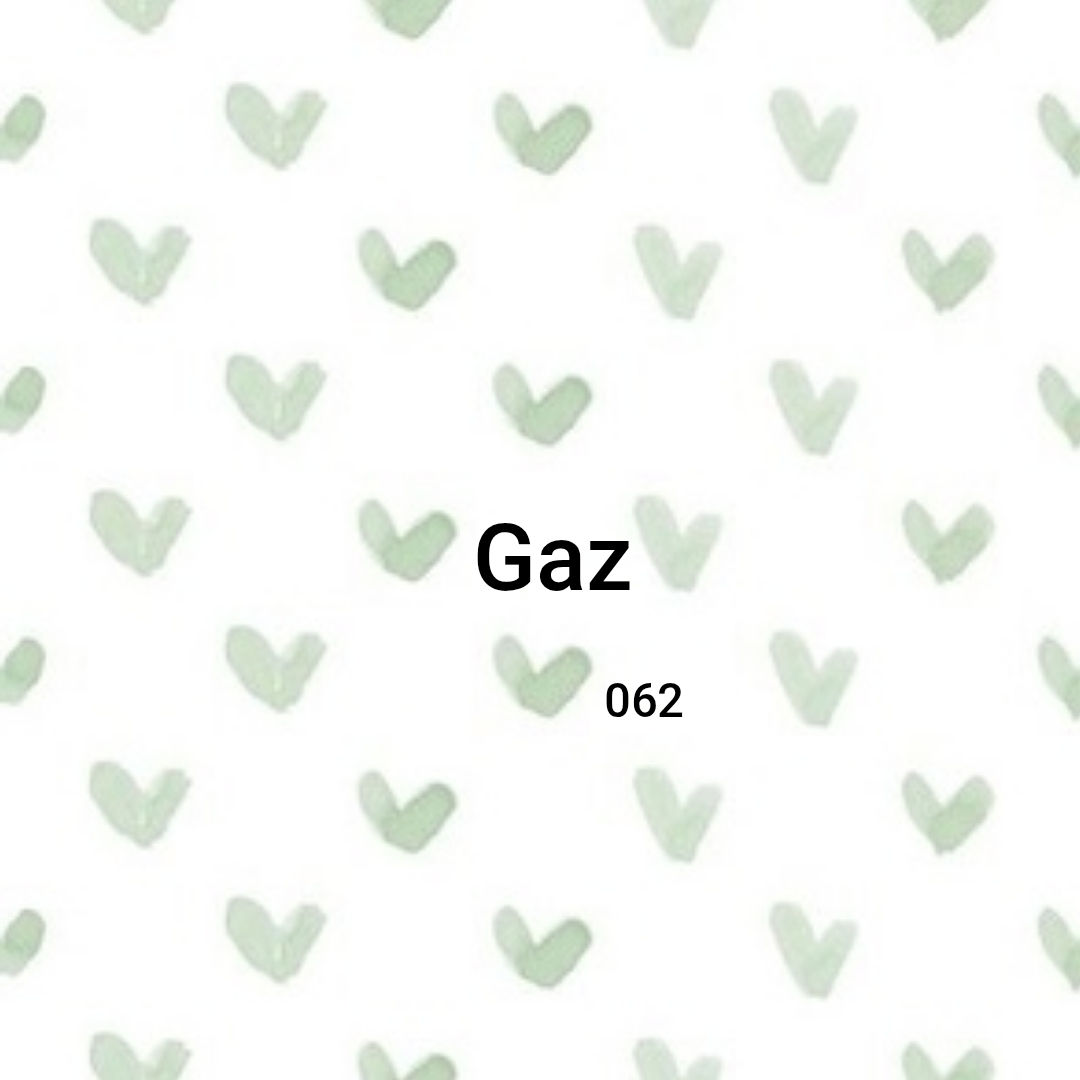 Floral / Gaz Trainers 062