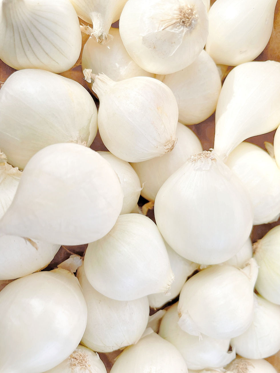 Thumbnail: Fresh White Boiler Onions 2 LB