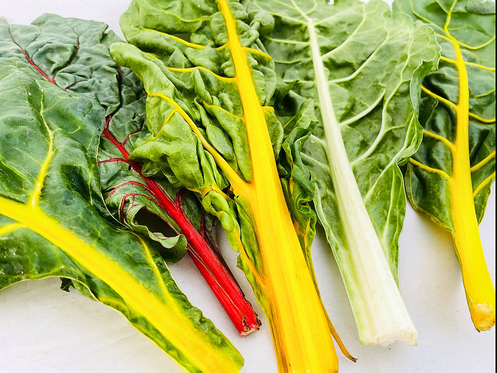 Thumbnail: Fresh Rainbow Chard 2 Bunches