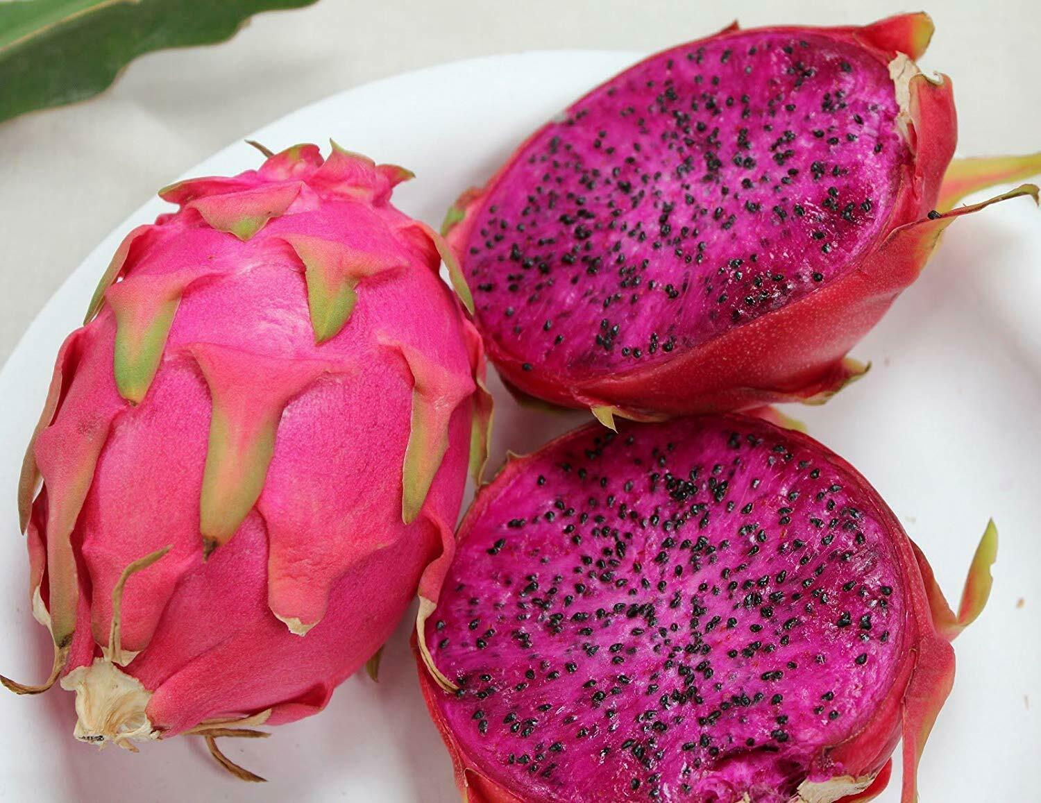Fresh Purple Flesh Dragon Fruit (Set of 5)