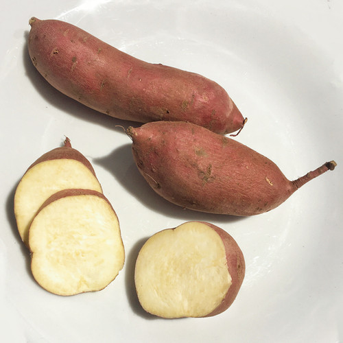 Japanese White Sweet Potatoes Kejora Fresh