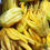 Thumbnail: Fresh Buddha Fingers Fruits - Set of 3