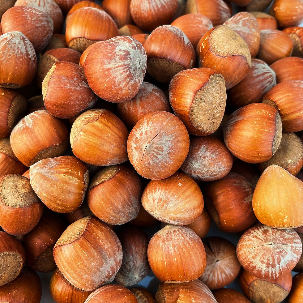 Thumbnail: Fresh Raw Hazelnuts 2 Packs
