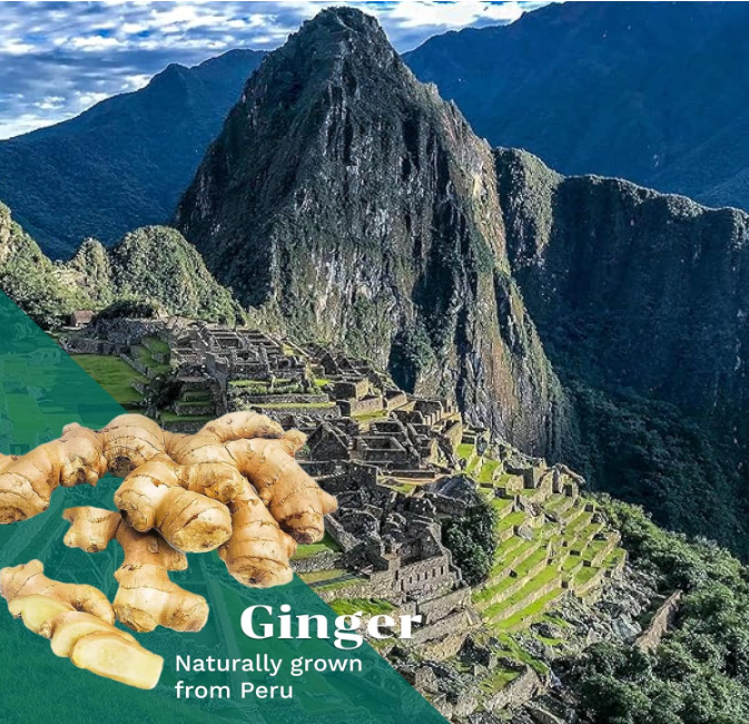 Thumbnail: Fresh Turmeric and Ginger Combo - 4LB