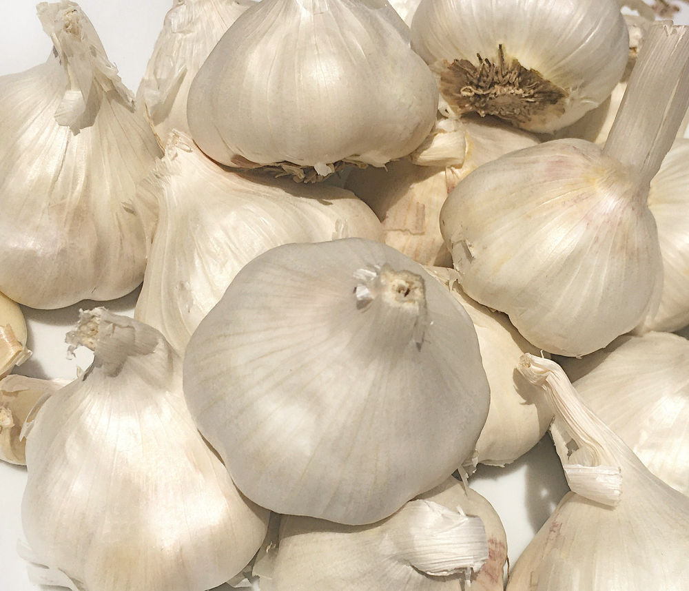 Start Planting Your Own Garlic Bulbs!