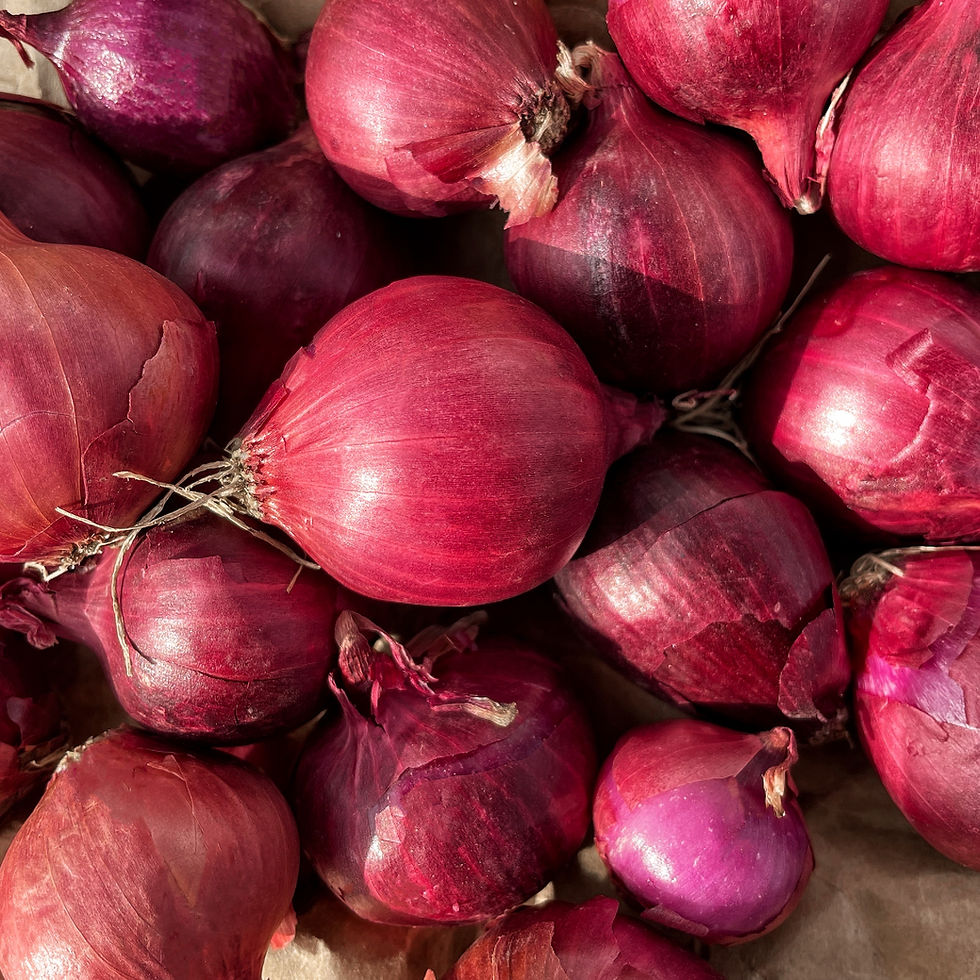 ★DeMAKER★ Small onion bagivory Fresh Red Boiler Onions 2 LB | Kejora Fresh