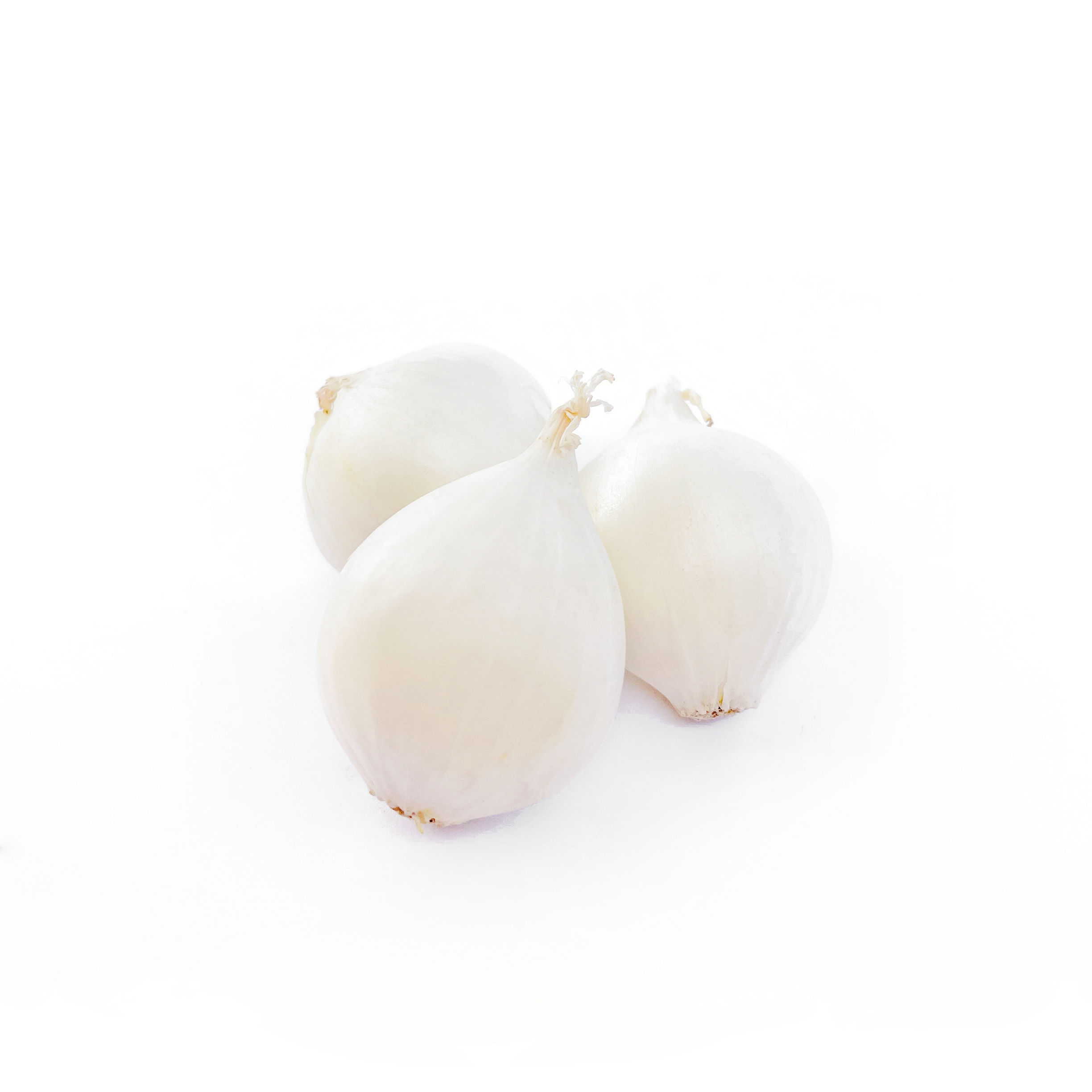 Fresh White Boiler Onions 2 LB