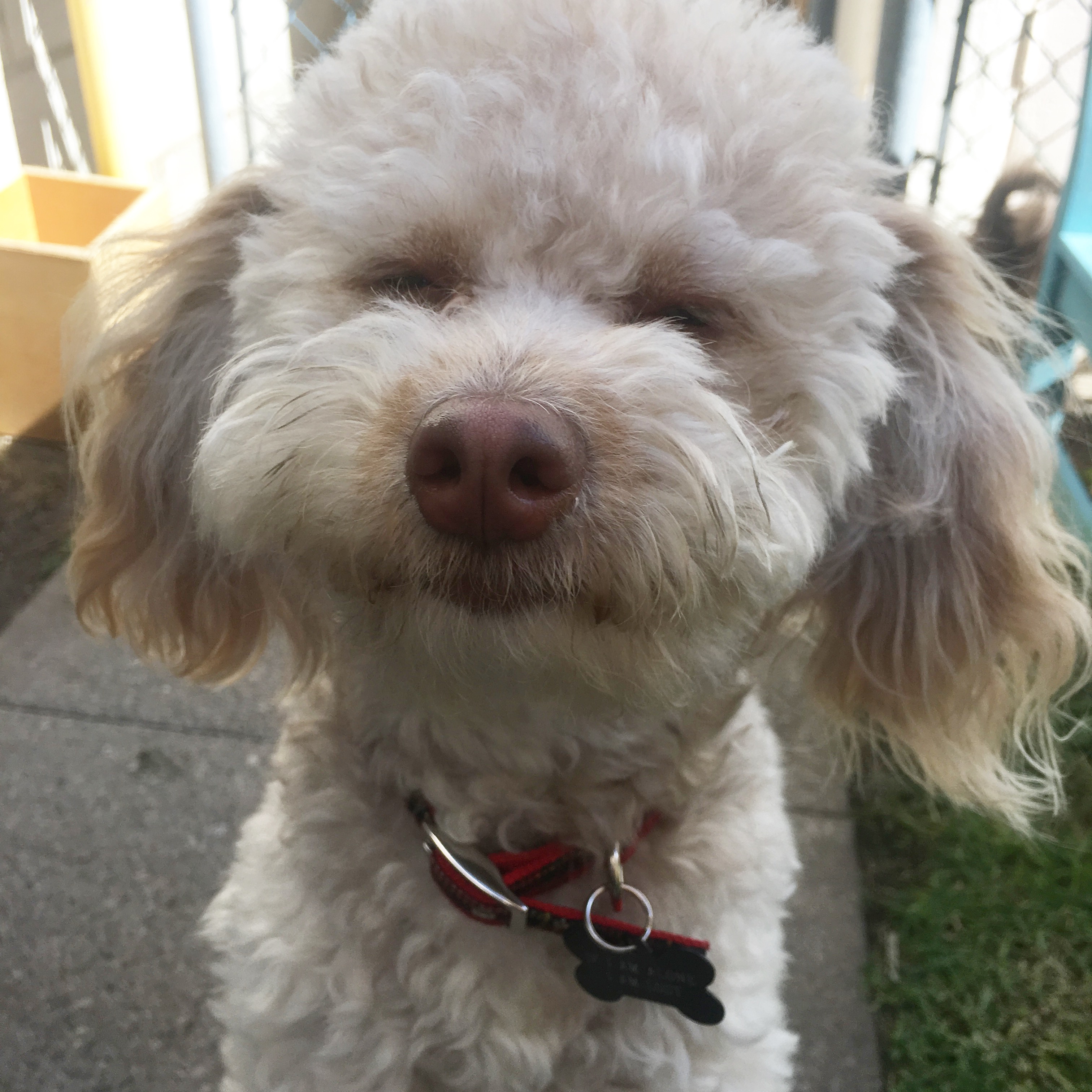 Baxter