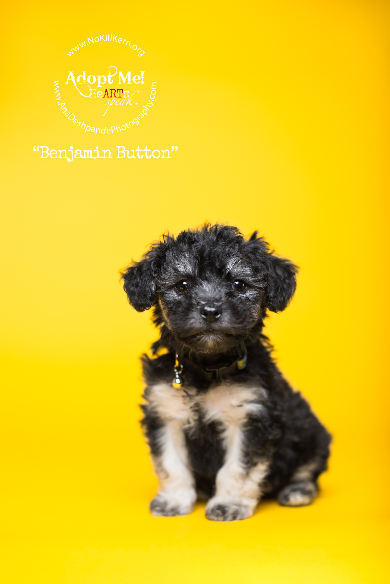 Benjamin Buttons