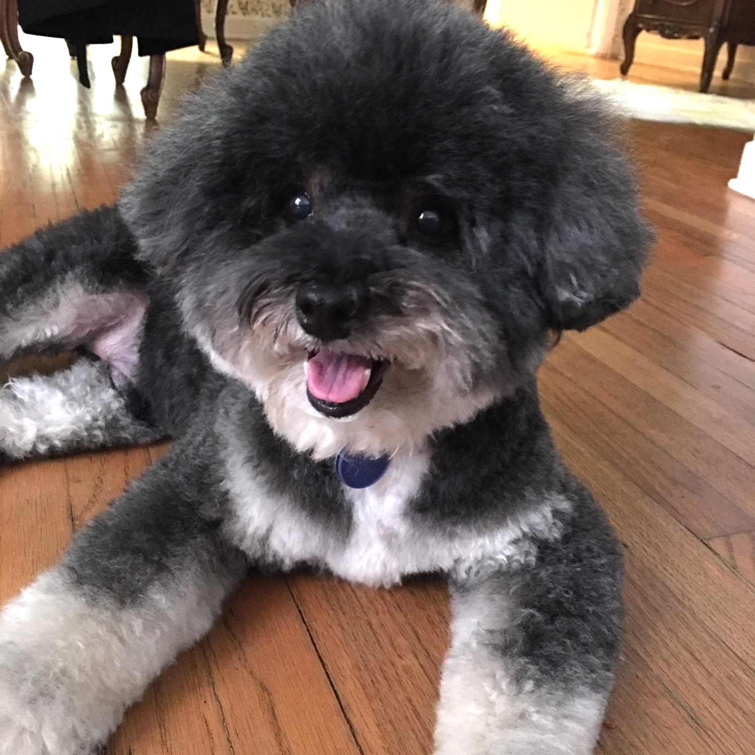 Toby