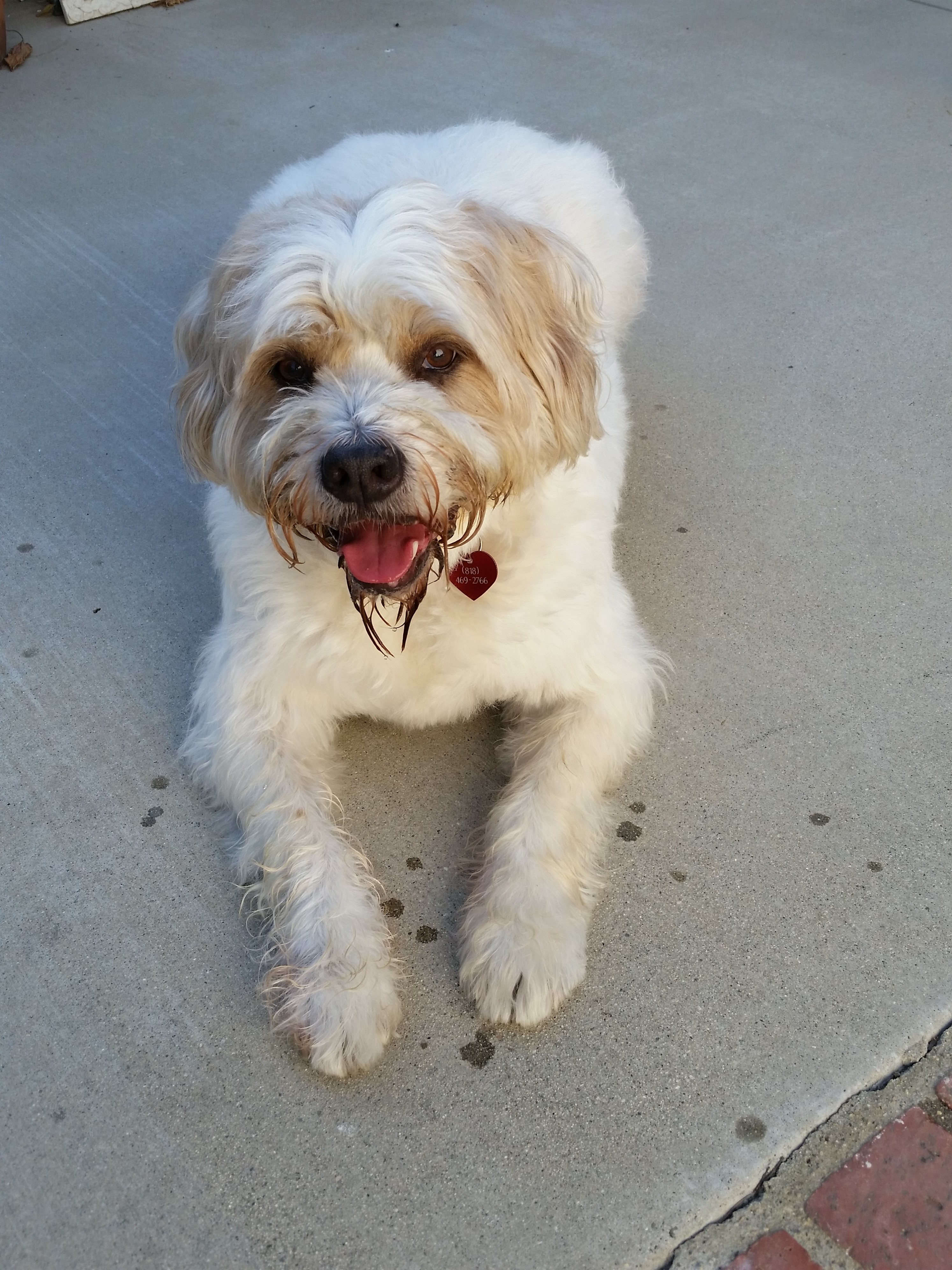 Barkley
