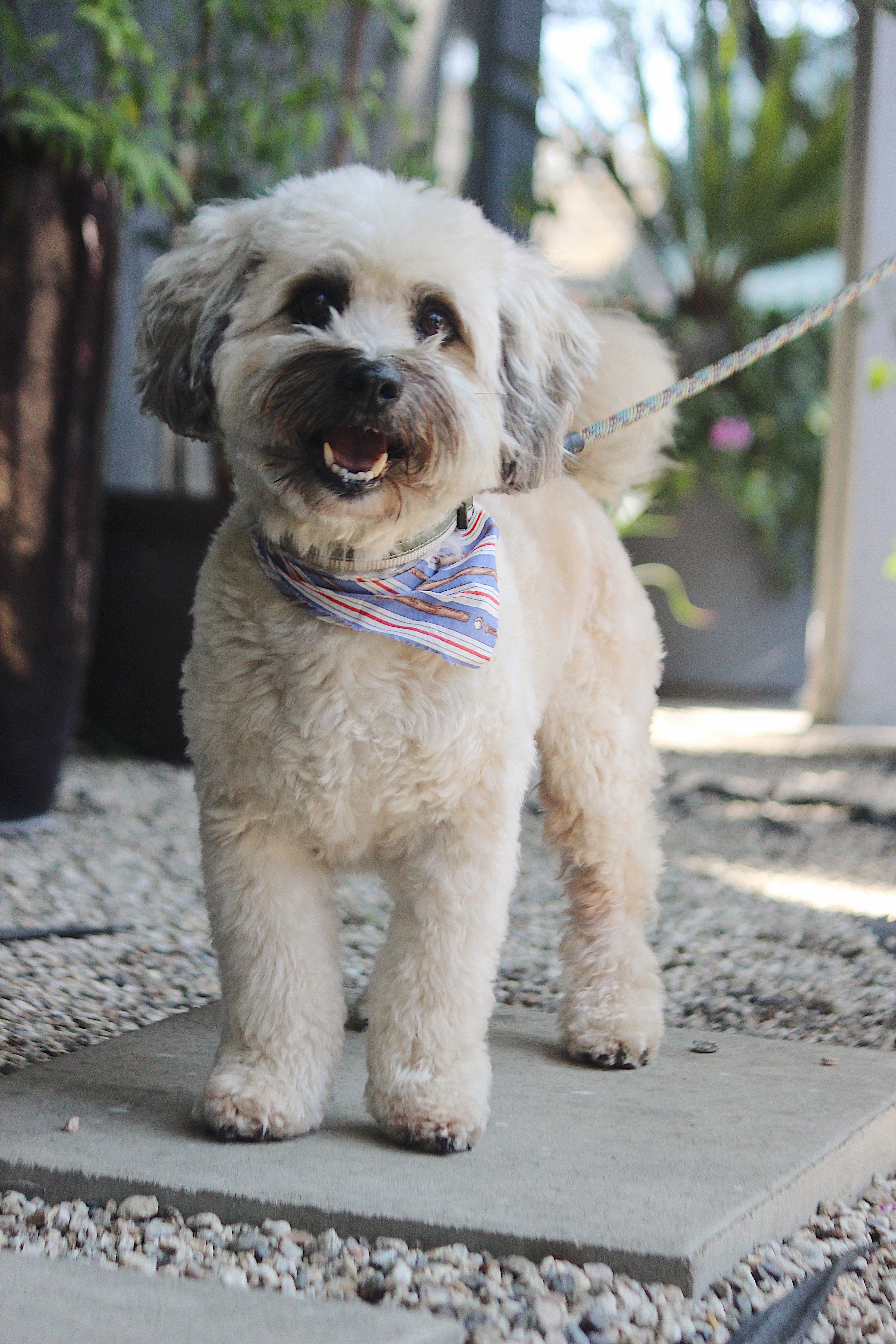 Barnaby