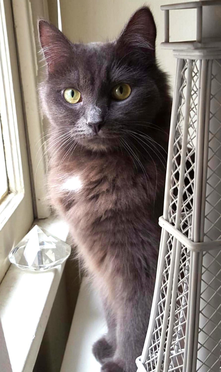 Luna