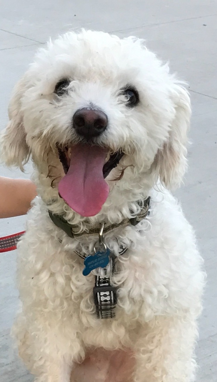 Remington