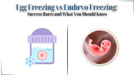 Egg Freezing vs. Embryo Freezing