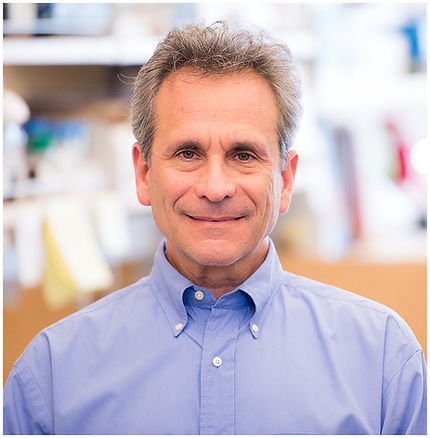 This is a portrait of Neuroscientist_John L. R. Rubenstein