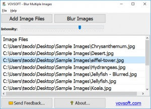 VOVSOFT - Voice Changer Crack