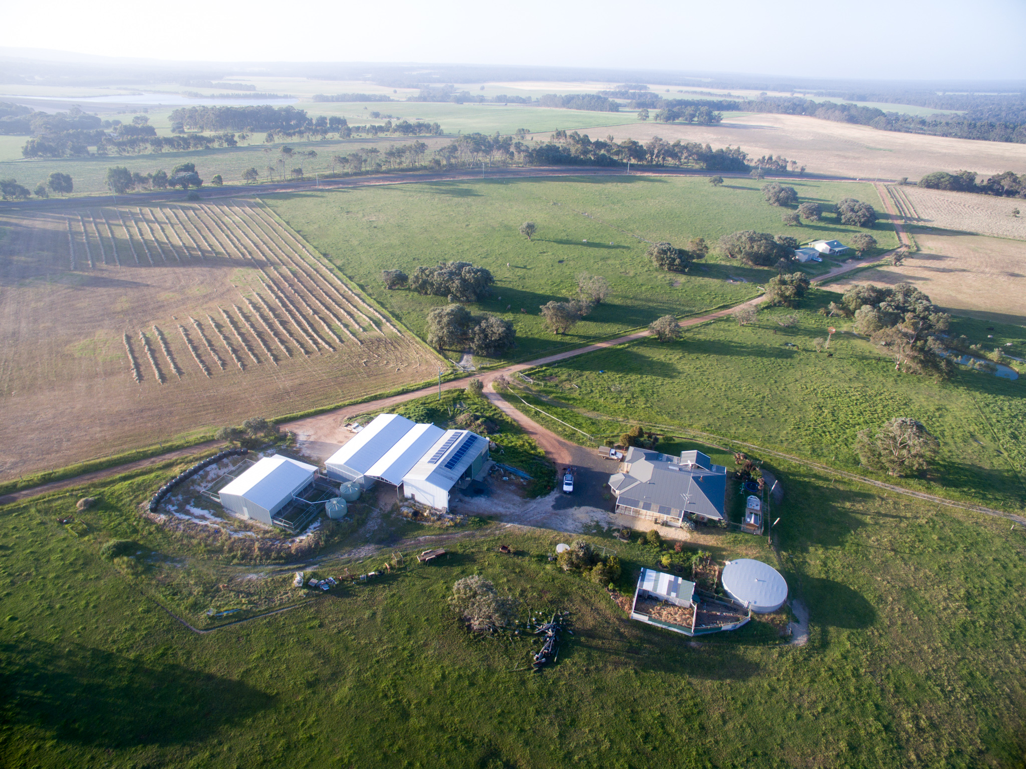 family farm and home dog kennels