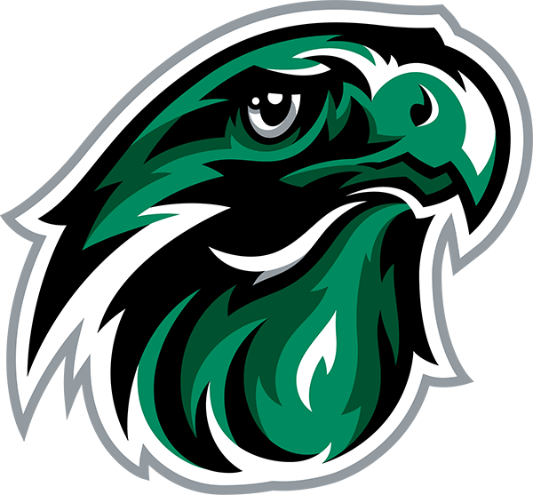 Hawk-head-only.png