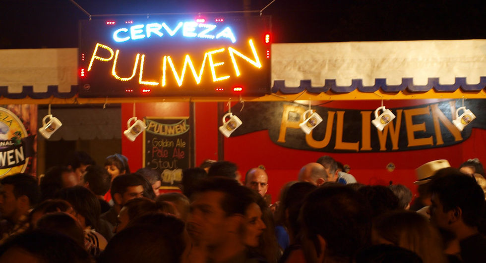 FIESTA PROVINCIAL DE LA CERVEZA