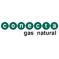 Logo CONECTA S.A