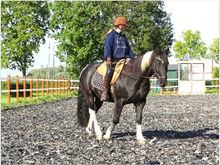 Kopie van DSC02967.JPG